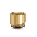 Krem regenerujący Artistry Supreme LX